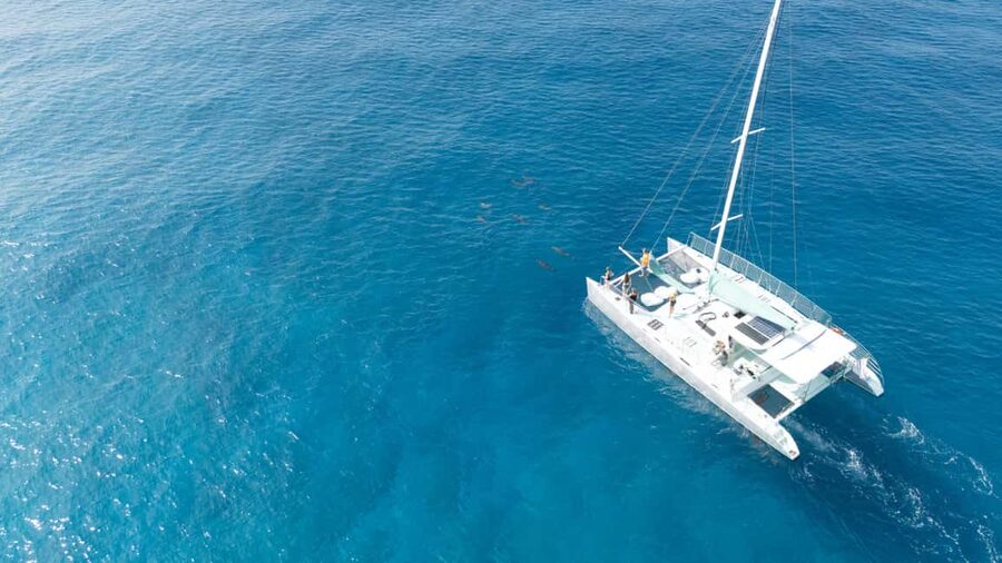 Saona Island: Catamaran Excursion with Lunch and Drinks - Four hours of beach time, if the schedule cooperates