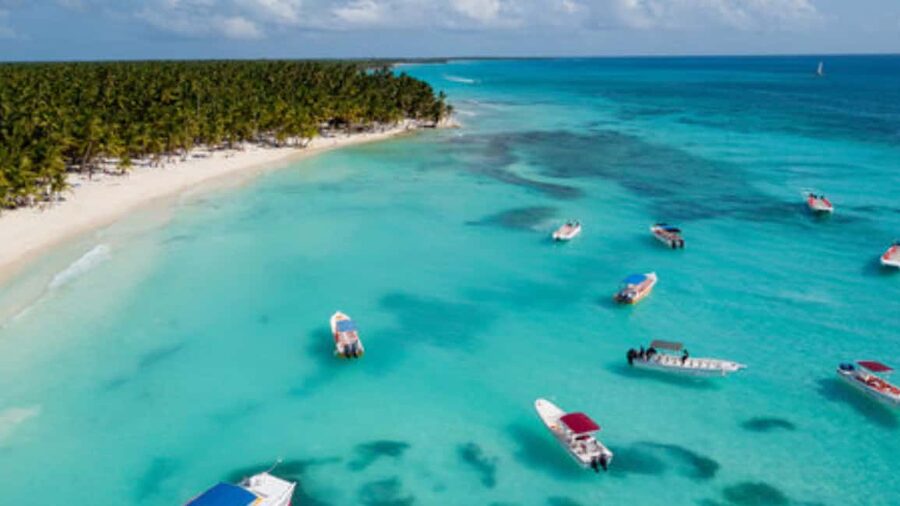 Saona Island: Catamaran Excursion with Lunch and Drinks - Who will enjoy this excursion most