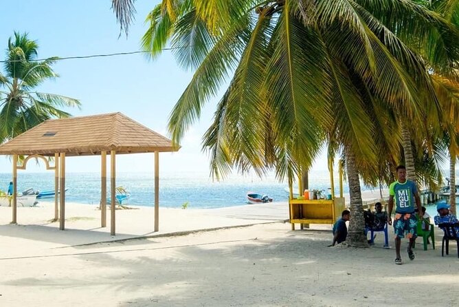 Saona Island Catamaran For Small Group Hotel Pick Food Drink - Saona’s beaches are the main reward