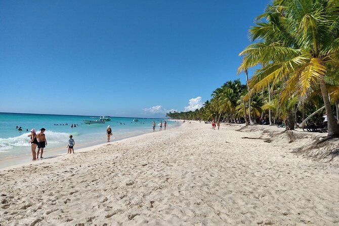 Saona Island Catamaran For Small Group Hotel Pick Food Drink - Swimming and the possible natural pool stop