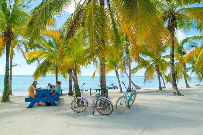 Saona Island Catamaran For Small Group Hotel Pick Food Drink - Lunch and drinks make the price easier to judge