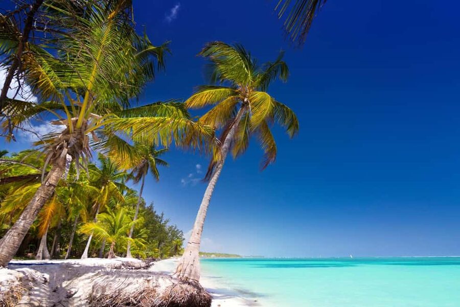 Saona Island: Catamaran/Speedboat Tour to a Dream Beach - Returning by catamaran takes about 105 minutes