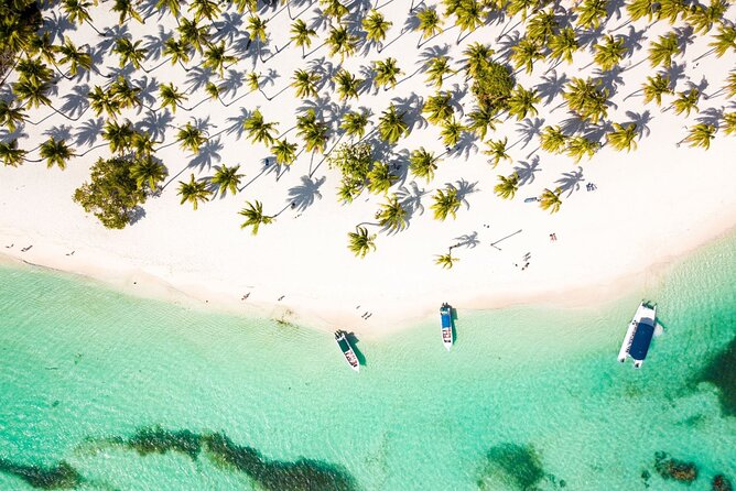 Saona Island Cruise & Private Beach - Key points to know before booking