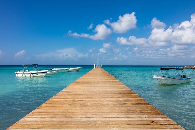 Saona Island Cruise & Private Beach - Who will enjoy this outing most?