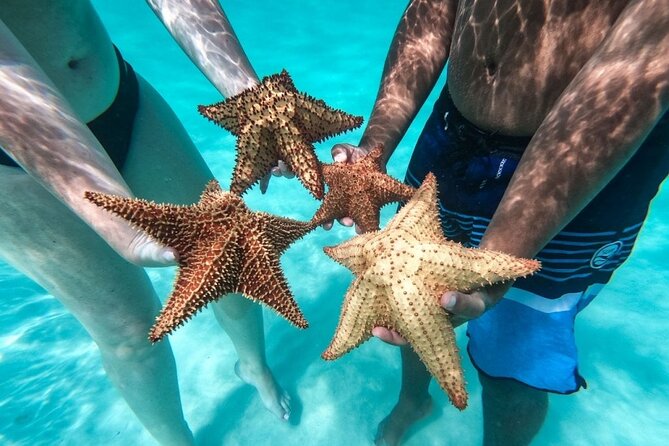 Saona Island Day Tour - Key points to know before booking