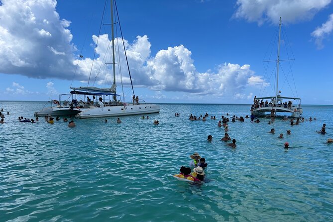 Saona Island Day Tour - From your hotel to Bayahibe at 7:00 a.m.