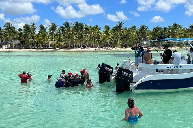 Saona Island Day Tour - What the $85 price really covers