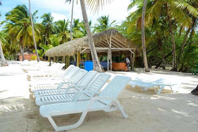 Saona Island Day Trip - What lunch and drinks add to the $85 price