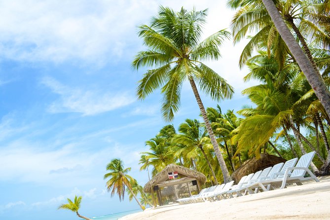 Saona Island Day Trip - How the day may feel for families and couples