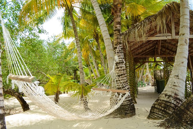 Saona Island Day Trip - Timing, pickup, and group size