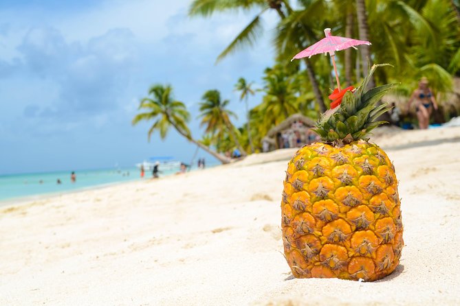 Saona Island Day Trip - How the experience compares with a resort beach day