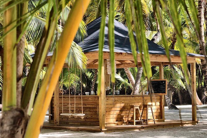 Saona Island Day Trip and Cruise from Punta Cana - Six hours around Saona Island