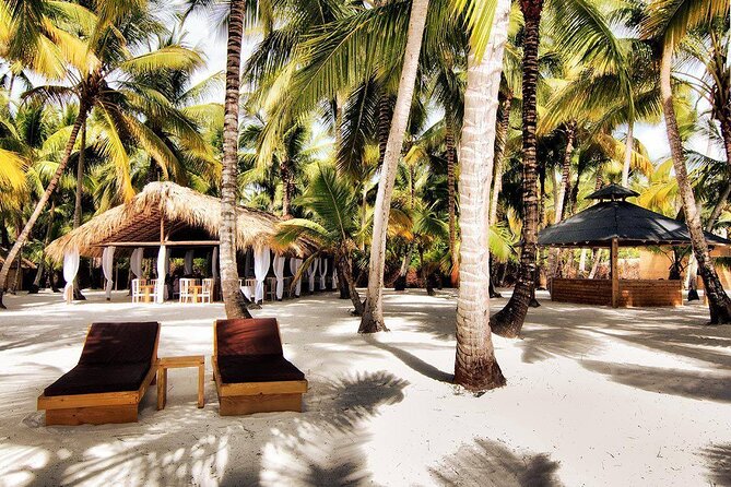 Saona Island Day Trip and Cruise from Punta Cana - Who will enjoy this Saona trip most