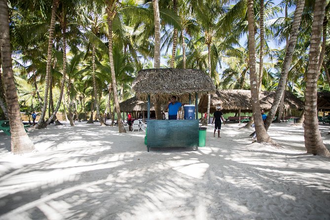 Saona Island Day Trip From Punta Cana with Lunch and Open Bar - Buffet lunch and the meaning of open bar