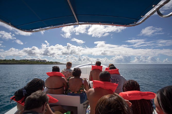 Saona Island Day Trip From Punta Cana with Lunch and Open Bar - The catamaran return and party atmosphere