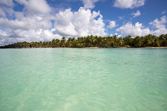Saona Island Day Trip From Punta Cana with Lunch and Open Bar - What the $82 price really covers