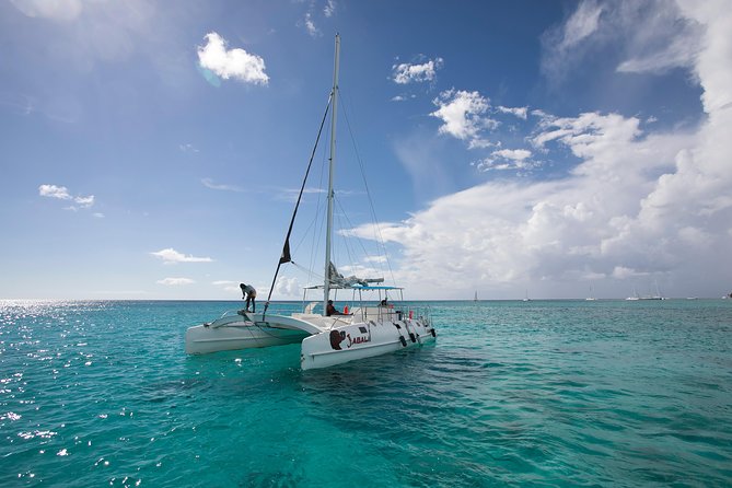 Saona Island Day Trip From Punta Cana with Lunch and Open Bar - Who will enjoy this day most