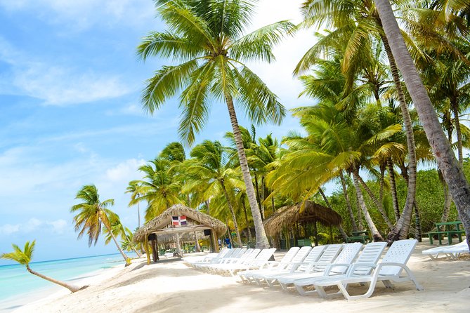 Saona Island Day Trip + Lobsters Included - Two hours on Isla Saona