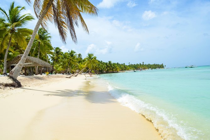 Saona Island Day Trip + Lobsters Included - Playa Palmilla’s long, shallow natural pool