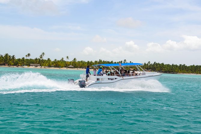 Saona Island Day Trip + Lobsters Included - Service and the private-tour format