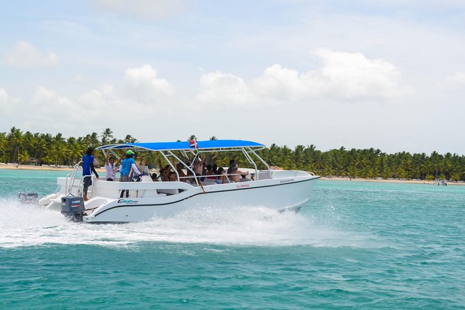 Saona Island Day Trip + Lobsters & Wine Included - Group size, guide service, and the ride home