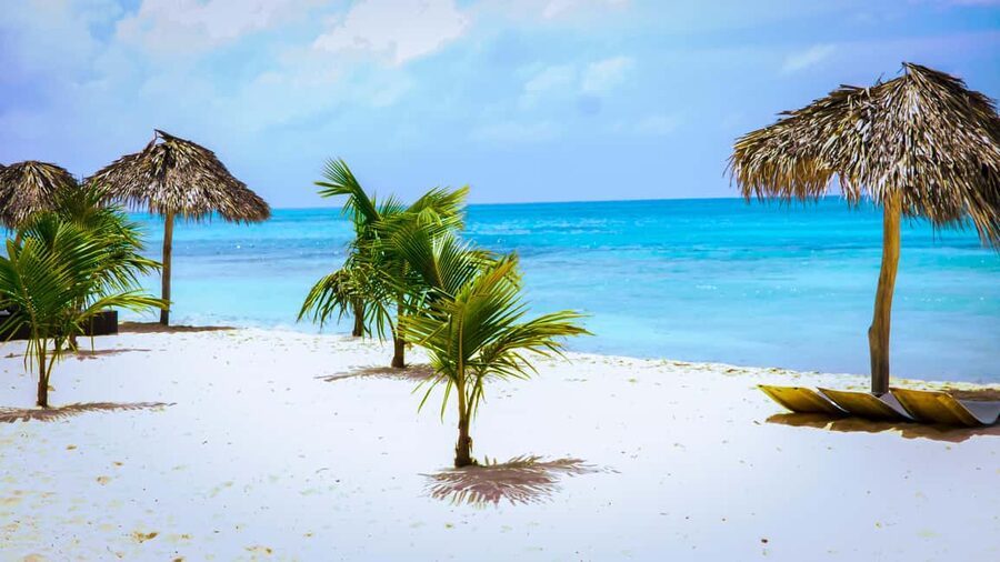 Saona Island Day Trip + Lunch + Open Bar from Punta Cana - Who should choose this Saona outing