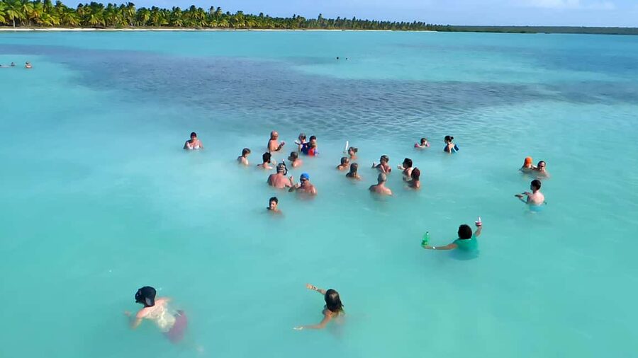 Saona Island Day Trip + Lunch + Open Bar from Punta Cana - What the $88 price really includes