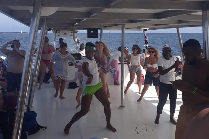 Saona Island Day Trip with Private Transfer and Personal Service - Group size, comfort, and the party-boat question
