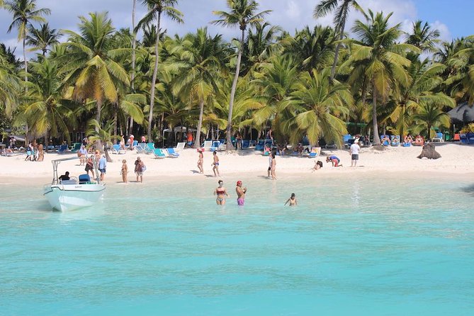 Saona Island Excursion by Catamaran and Speedboat - The natural pool stop near Bayahibe