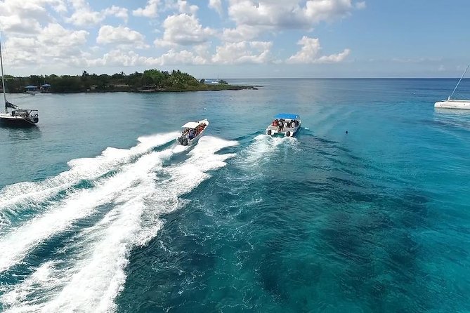 Saona Island Excursion by Catamaran and Speedboat - Lunch, rum, and the limits of the open bar