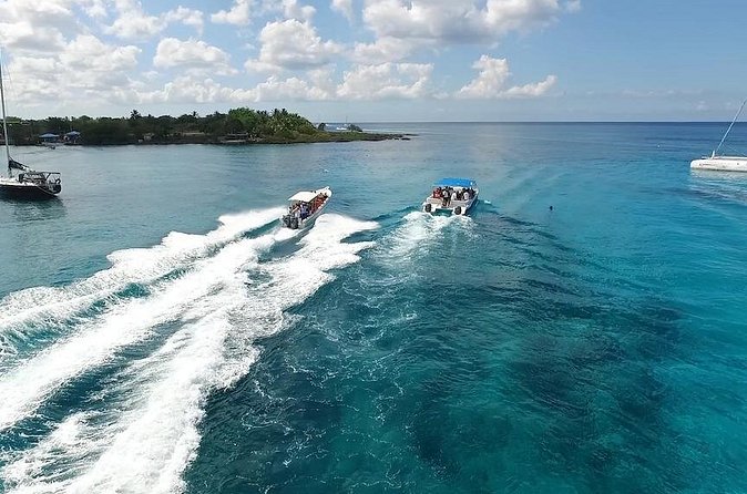 Saona Island Excursion by Catamaran and Speedboat - Speedboat or catamaran, which is better?