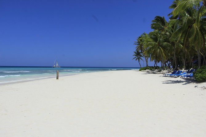 Saona Island Excursion From Punta Cana - Dominican buffet lunch and open bar