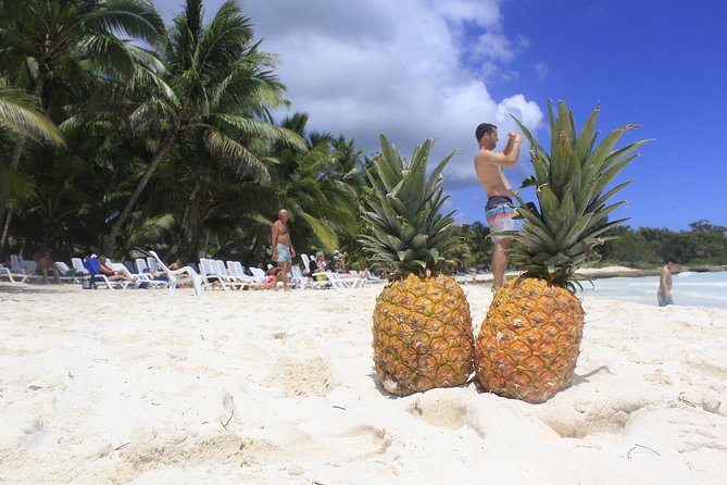 Saona Island Excursion From Punta Cana - The catamaran ride back to Bayahibe