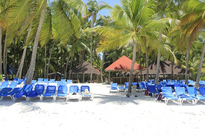 Saona Island Excursion From Punta Cana - How the $82 price measures up