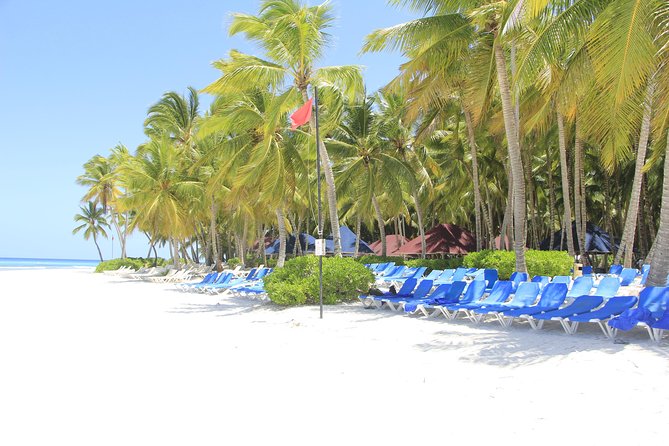 Saona Island Excursion From Punta Cana - Who will enjoy this Saona excursion?