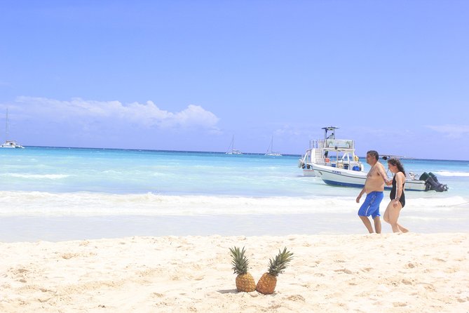 Saona Island Excursion From Punta Cana - Speedboat thrills and the natural pool