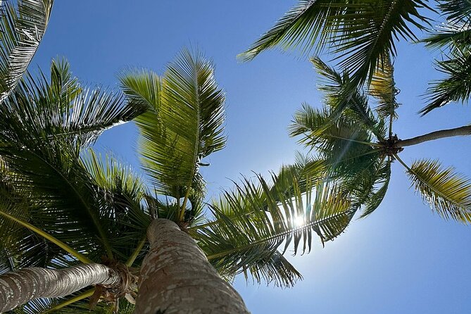 Saona Island from Punta Cana - What the 50-person limit means in practice