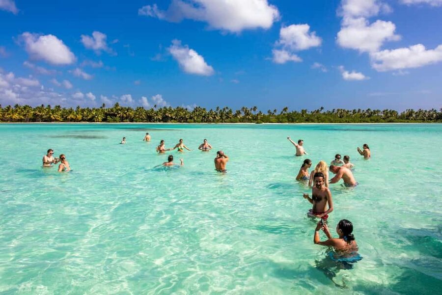 Saona Island from Punta Cana Day Trip with Open Bar - The Natural Pools stop