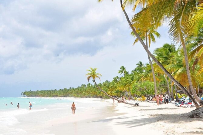 Saona Island from Punta Cana with Transportation and Lunch Included - Why Saona Island makes such a strong day trip