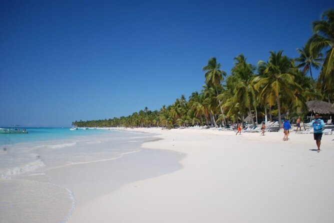 Saona Island Full Day Adventure From Punta Cana & Bavaro - Four hours on Saona Island