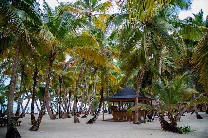 Saona Island Full Day Adventure From Punta Cana & Bavaro - The real tradeoff: paradise versus convenience