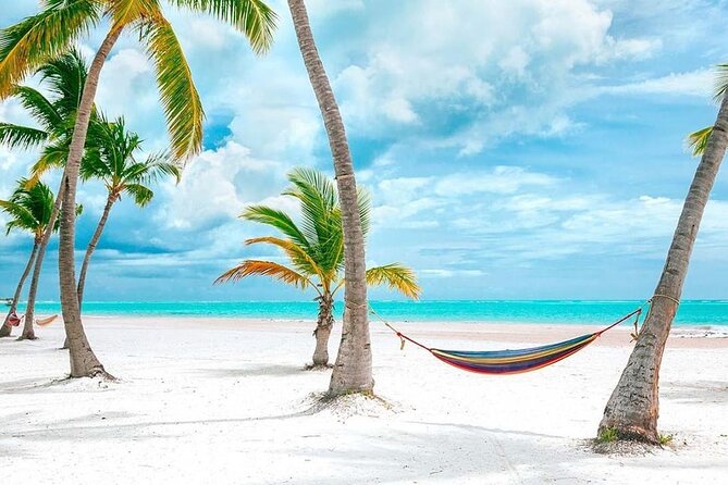 Saona Island Full Day Adventure From Punta Cana & Bavaro - How the day may feel from start to finish