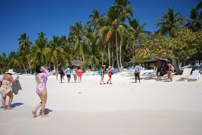 Saona Island Full Day Adventure From Punta Cana & Bavaro - Speedboat first, catamaran later