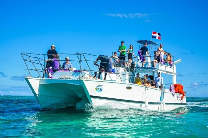 Saona Island Full-Day Excursion - What the $75 price really covers