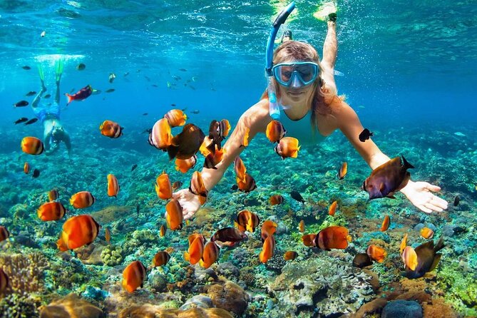 Saona Island Full Day Excursion from Punta Cana - Weather, cancellation, and the best way to plan