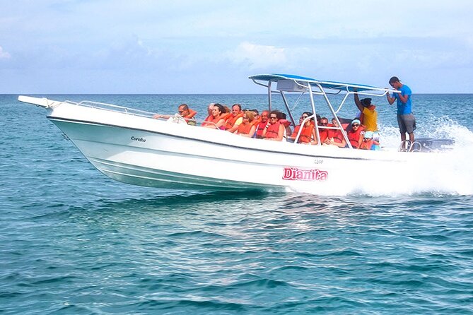 Saona Island Full Day Excursion from Punta Cana + Catamaran Party - The natural pool is the strongest part of the boat route