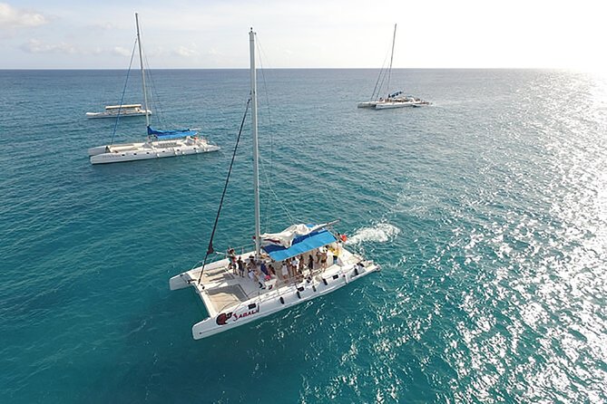 Saona Island Full Day Excursion from Punta Cana - Saona’s beach delivers the postcard moment