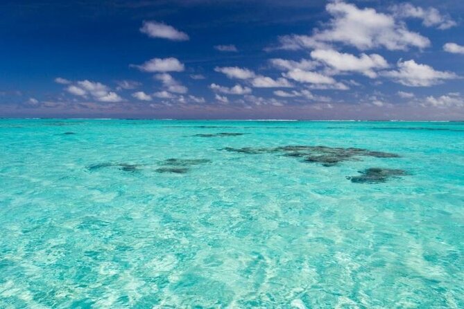 Saona Island Full-Day Excursion - Saona Island brings beach time, lunch, and open space