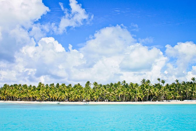 Saona Island Full Day From Punta Cana - Three hours on Saona Island