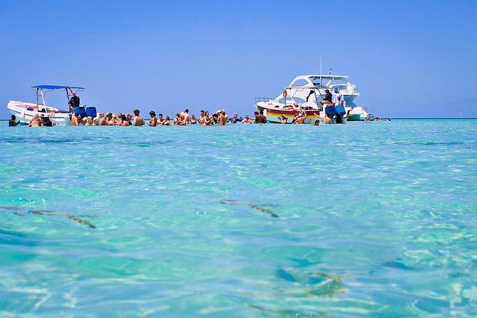Saona Island Full Day From Punta Cana - What the $69.99 price really covers